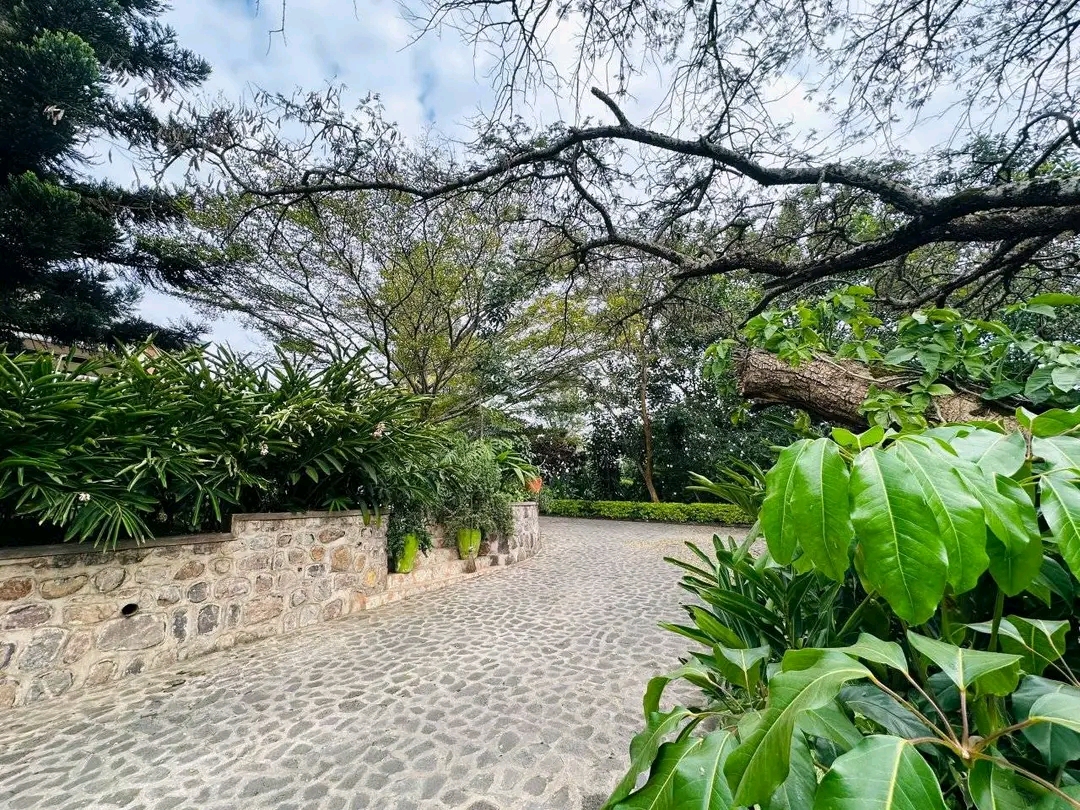 Nyarutarama unfurnished villa for rent