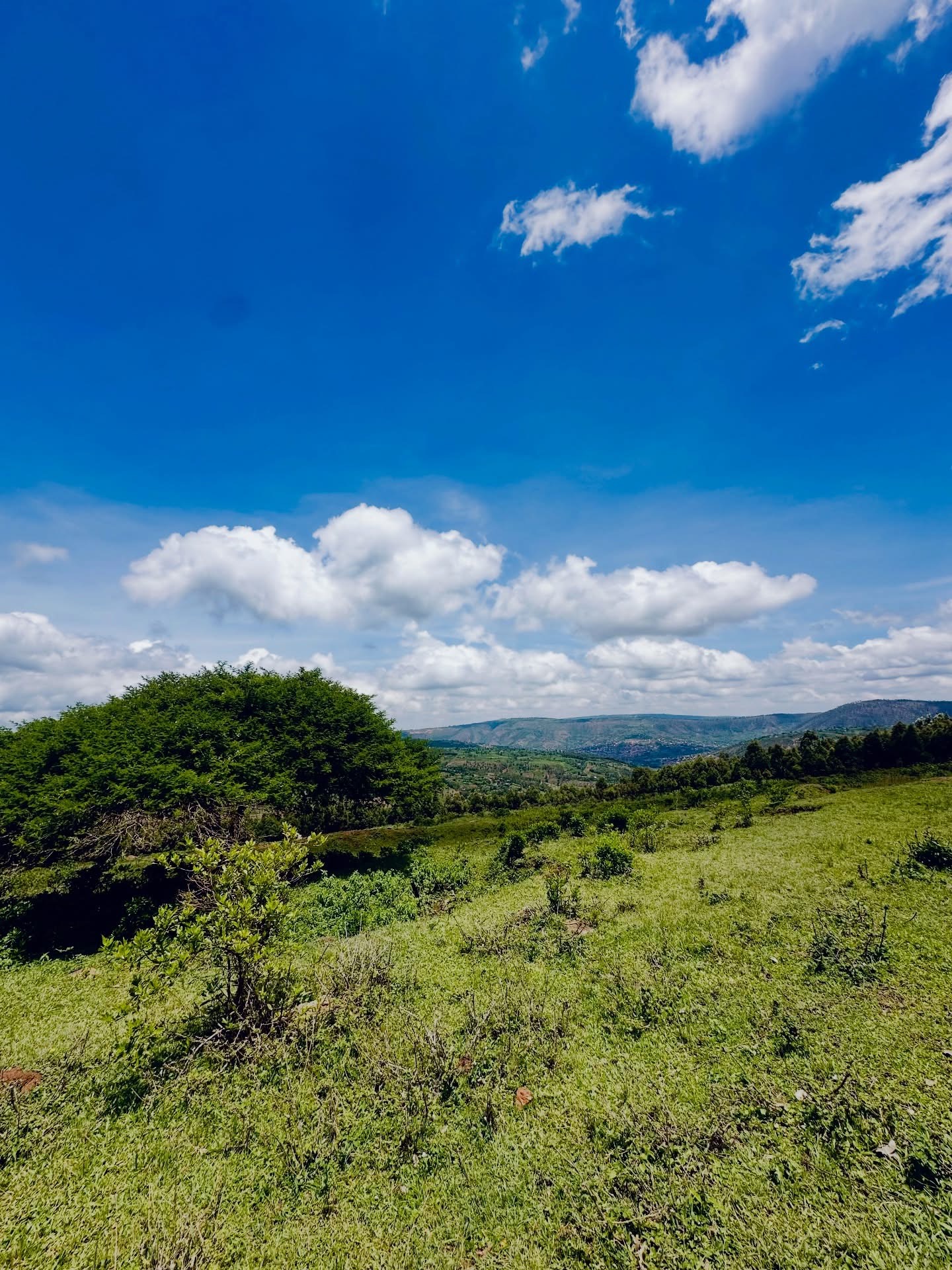 Prime land for sale in Rwamagana in good location